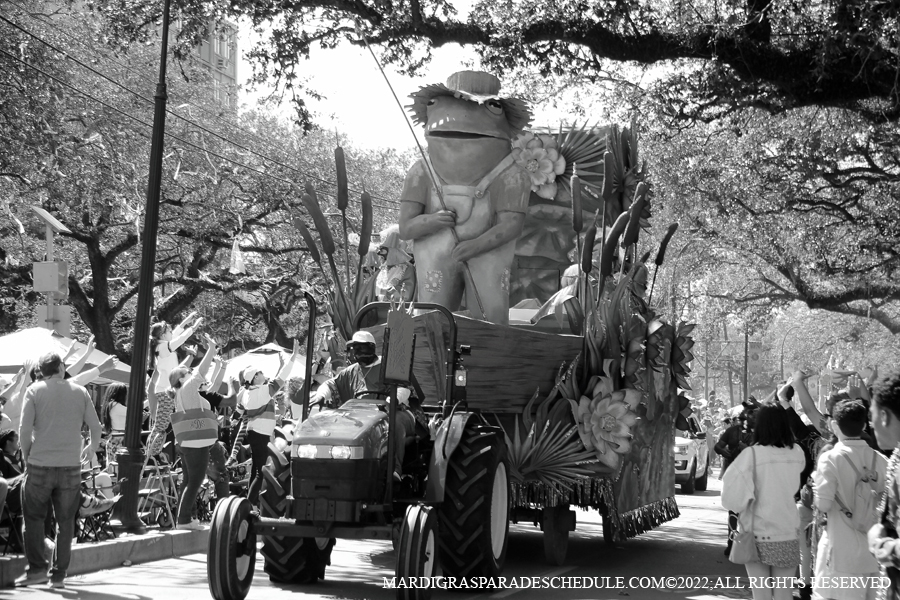 Rex-School-of-Design-00100-2022