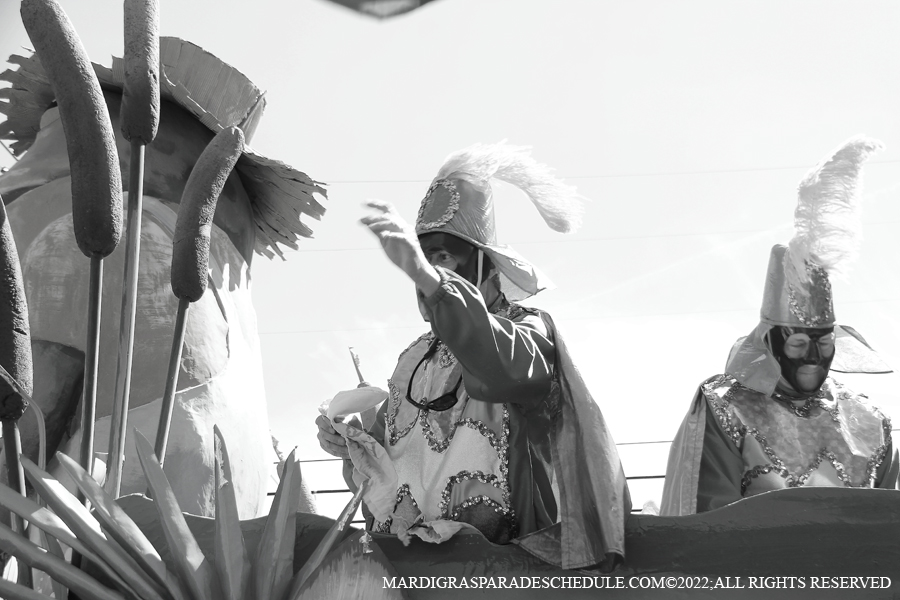 Rex-School-of-Design-00102-2022