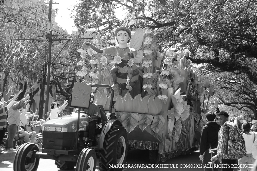 Rex-School-of-Design-00117-2022