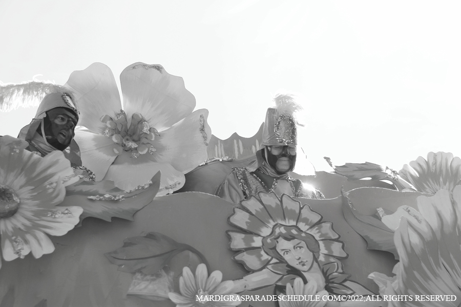 Rex-School-of-Design-00121-2022