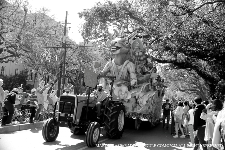 Rex-School-of-Design-00131-2022