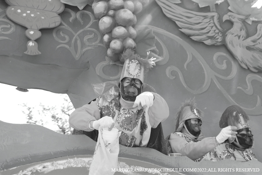 Rex-School-of-Design-00187-2022