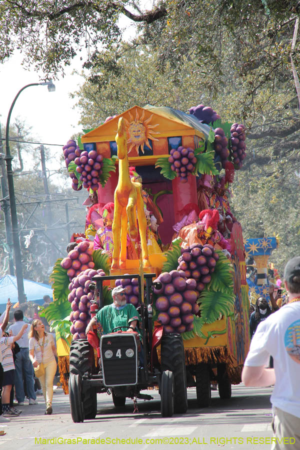 2023-Rex-King-of-Carnival-10822