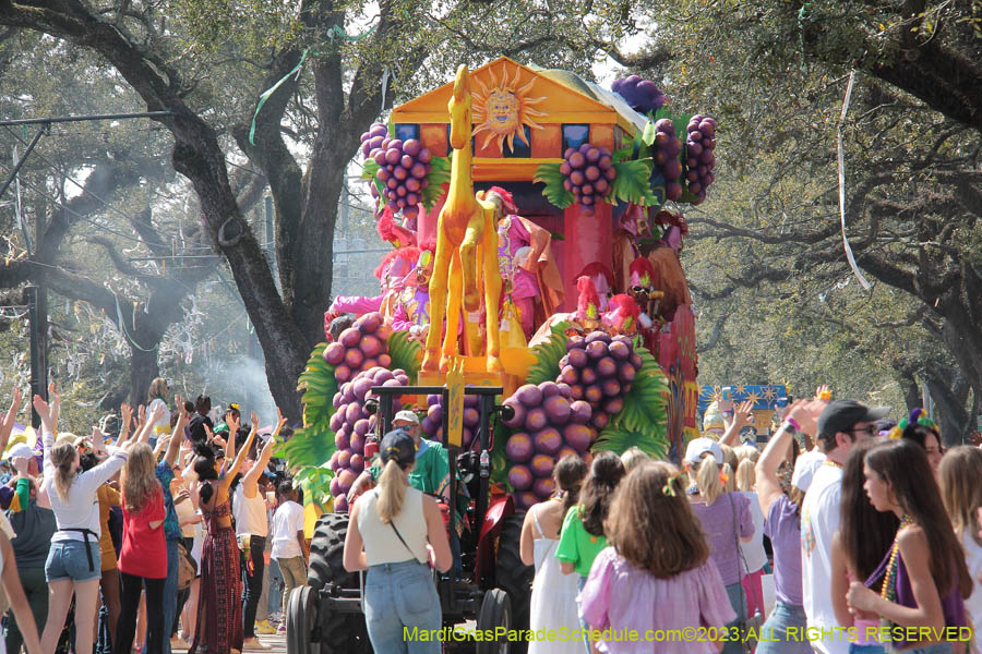 2023-Rex-King-of-Carnival-10824