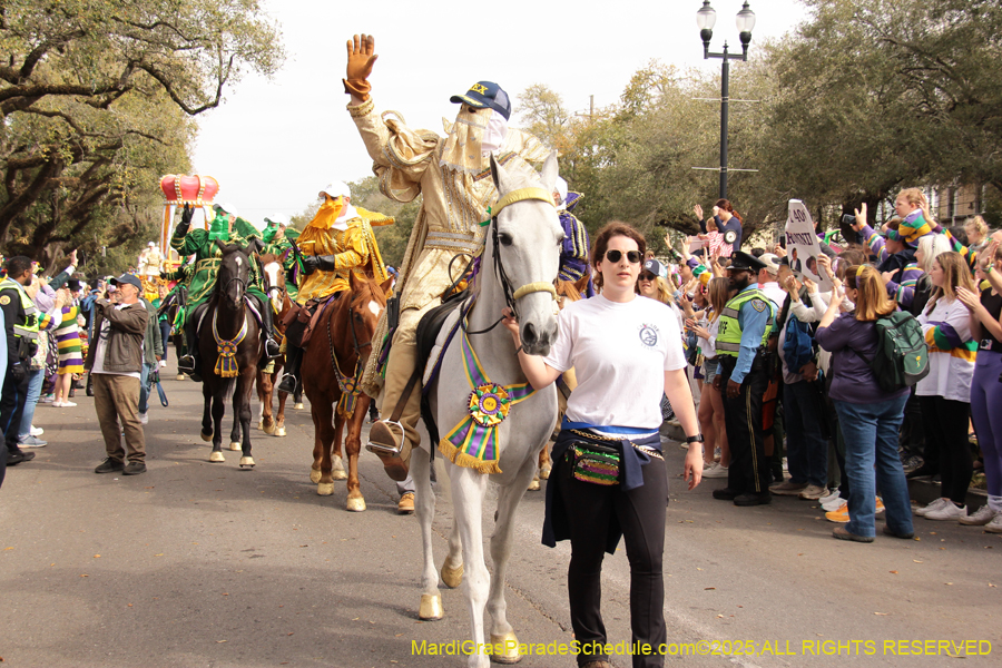 Rex-School-of-Design-2025-3270