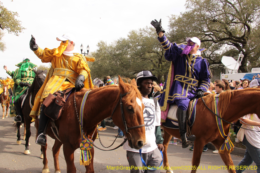 Rex-School-of-Design-2025-3271