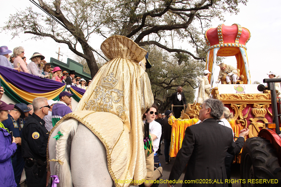 Rex-School-of-Design-2025-3285