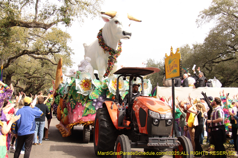 Rex-School-of-Design-2025-3300