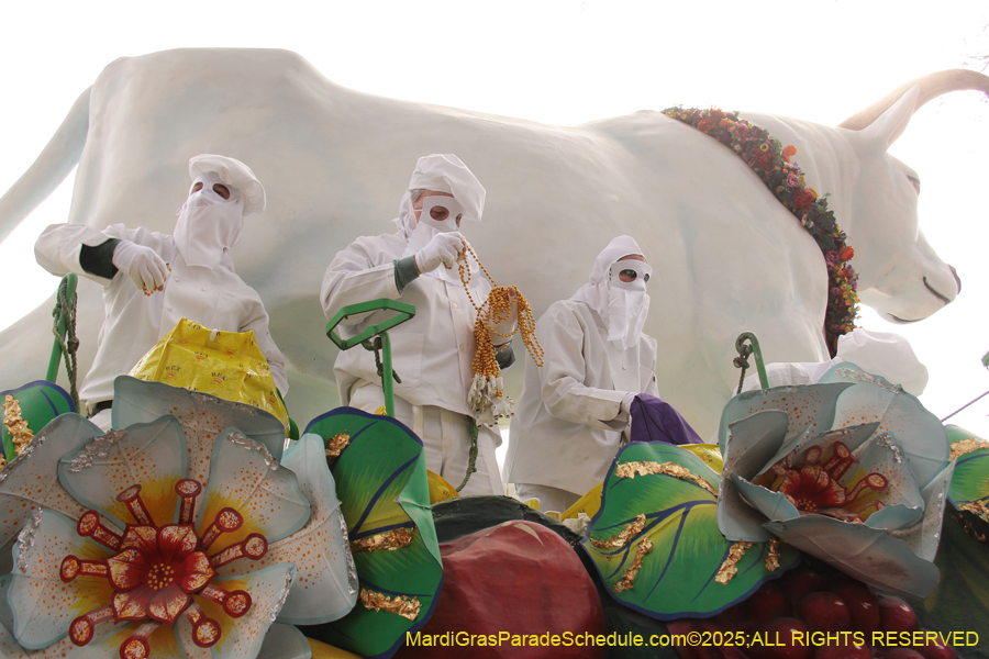 Rex-School-of-Design-2025-3301