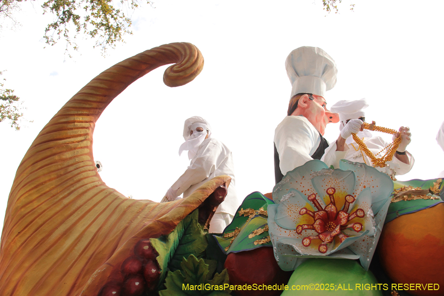 Rex-School-of-Design-2025-3302