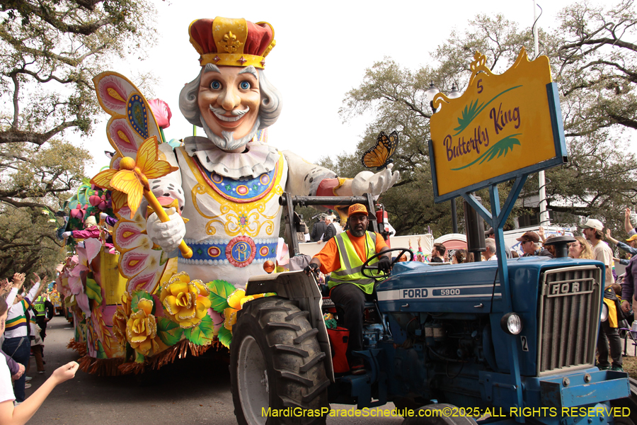 Rex-School-of-Design-2025-3305