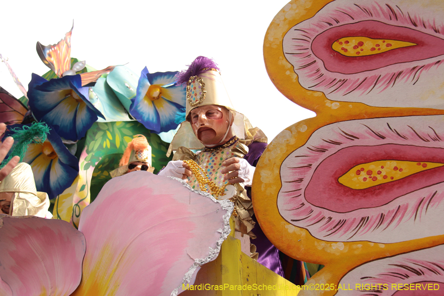 Rex-School-of-Design-2025-3307