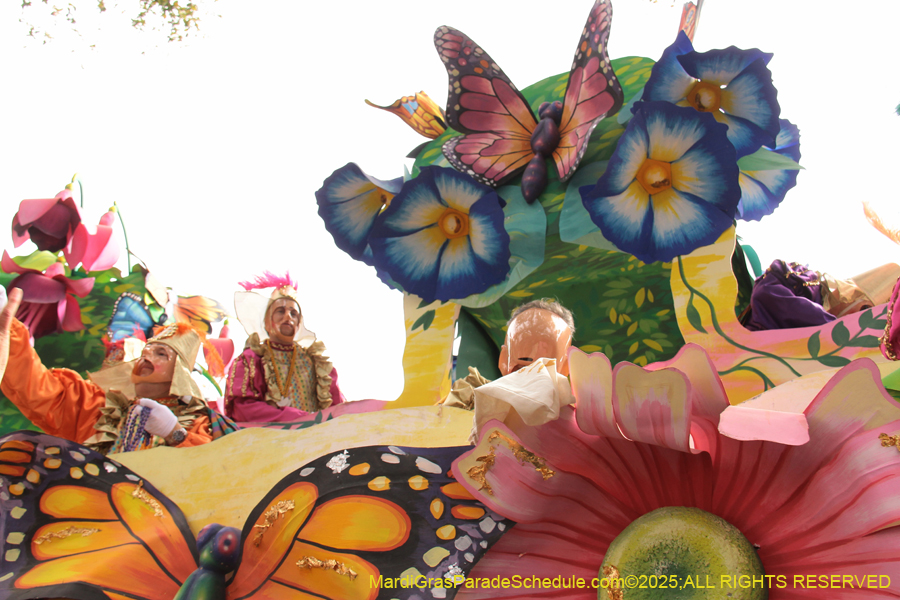 Rex-School-of-Design-2025-3308