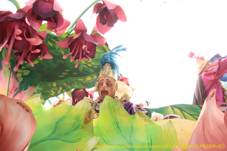 Rex-School-of-Design-2025-3310