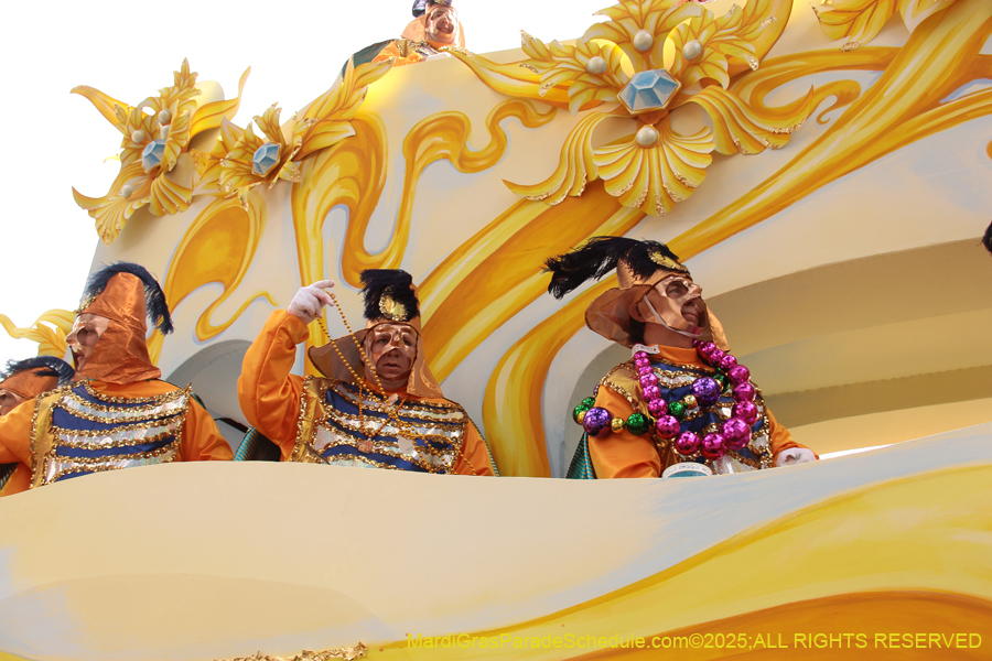 Rex-School-of-Design-2025-3318