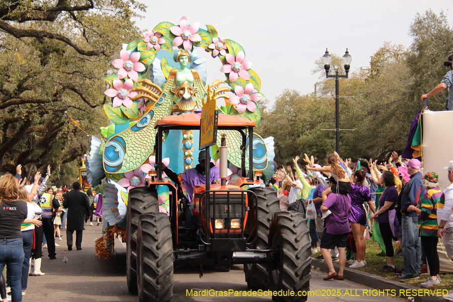 Rex-School-of-Design-2025-3323