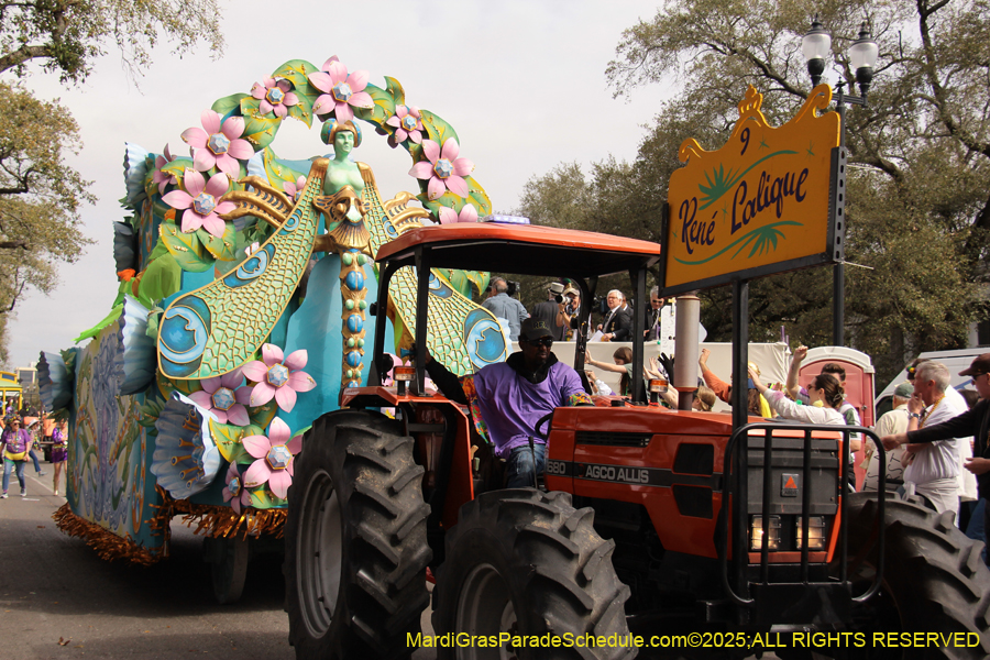 Rex-School-of-Design-2025-3324