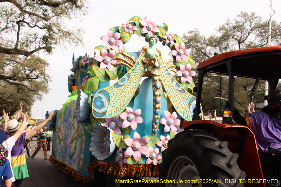 Rex-School-of-Design-2025-3325