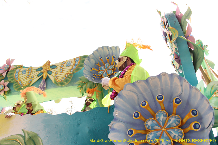 Rex-School-of-Design-2025-3326