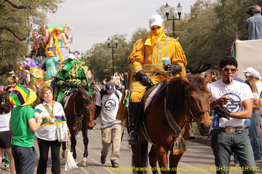 Rex-School-of-Design-2025-3340