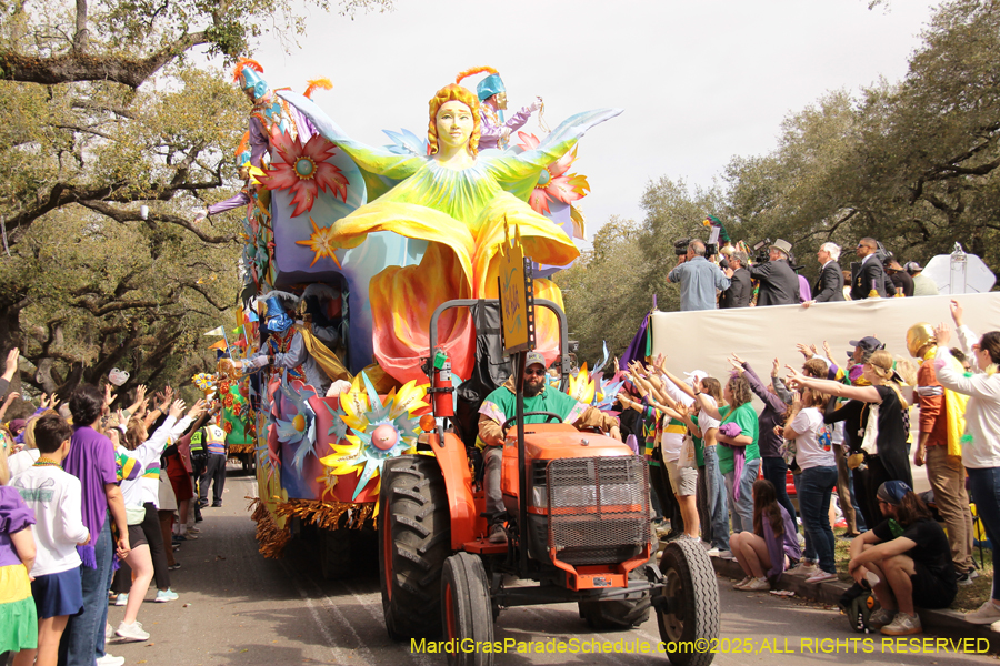 Rex-School-of-Design-2025-3348