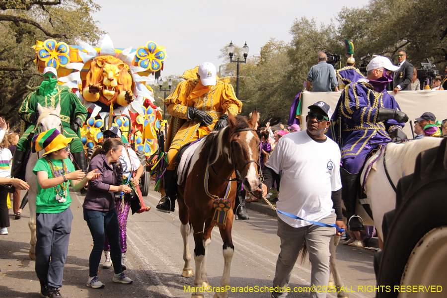 Rex-School-of-Design-2025-3357