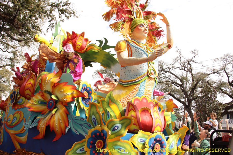 Rex-School-of-Design-2025-3365