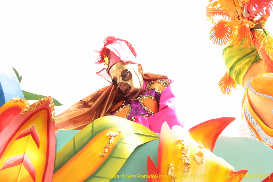 Rex-School-of-Design-2025-3366