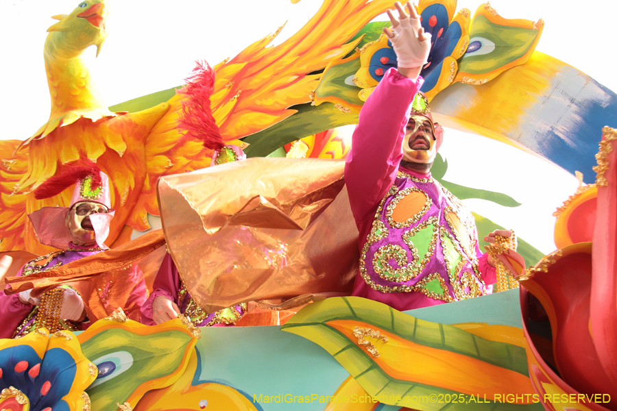 Rex-School-of-Design-2025-3367