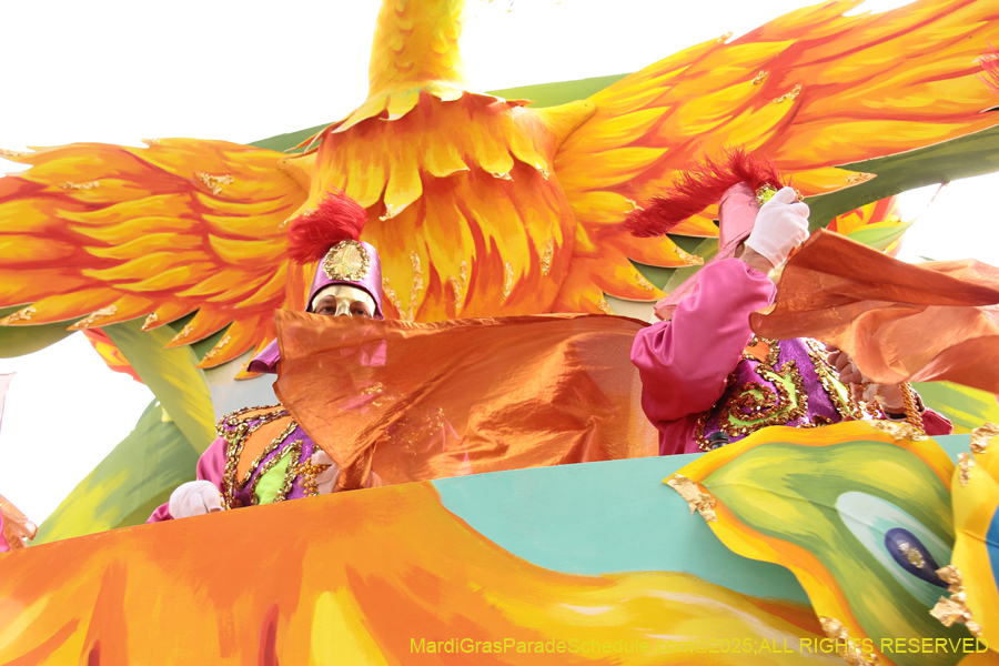 Rex-School-of-Design-2025-3368