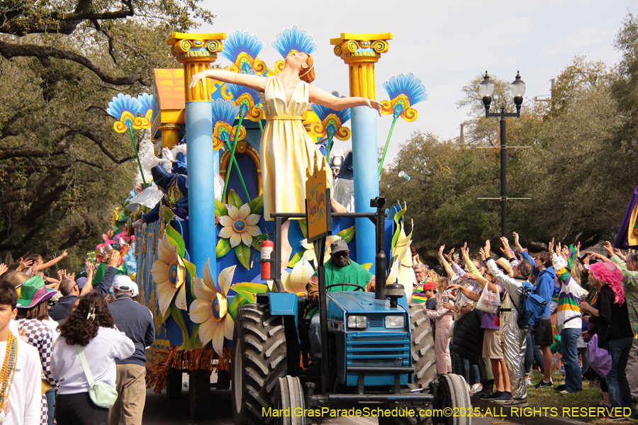 Rex-School-of-Design-2025-3377