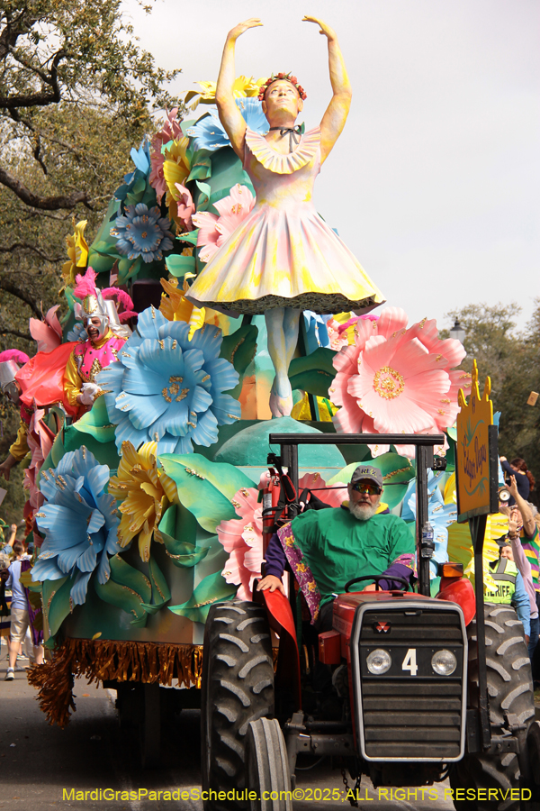 Rex-School-of-Design-2025-3382