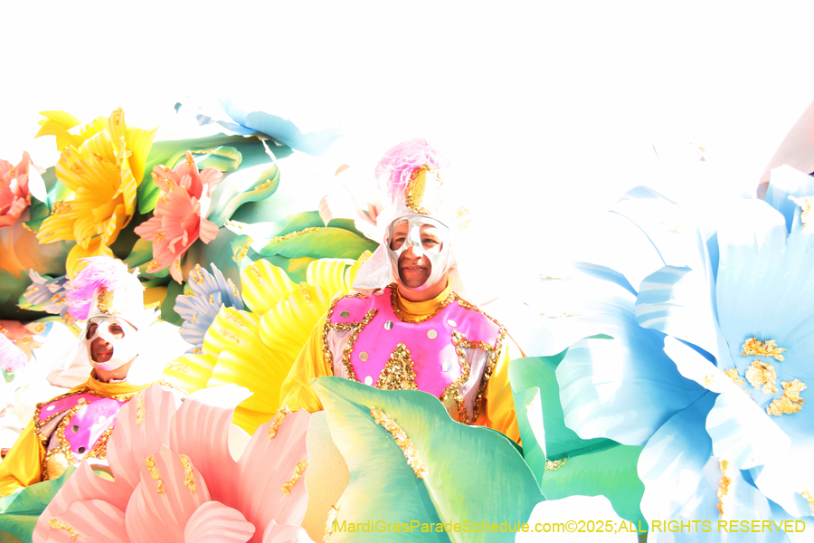 Rex-School-of-Design-2025-3384