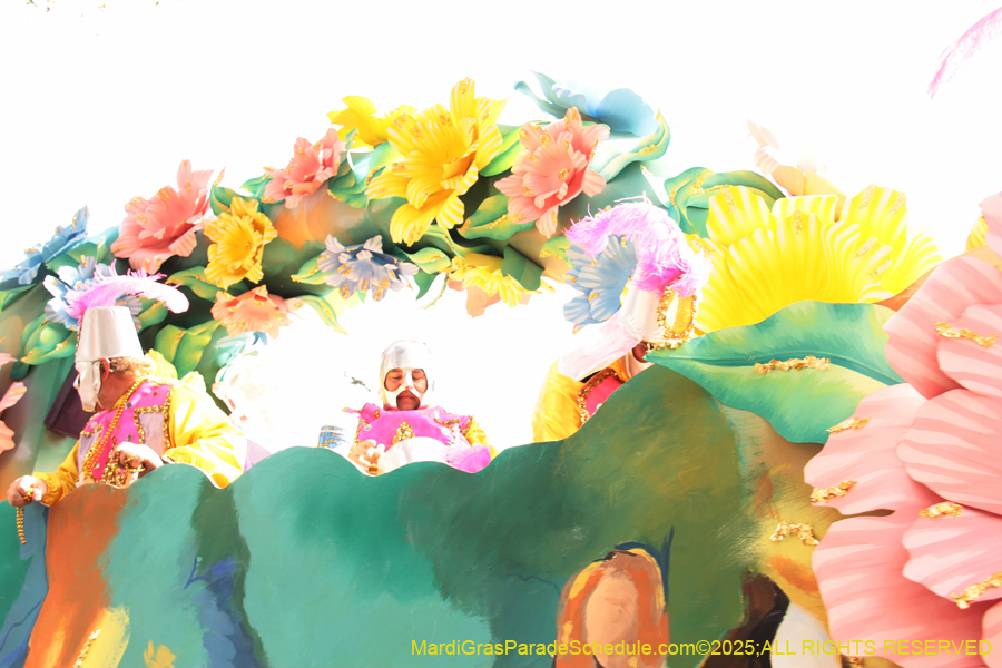 Rex-School-of-Design-2025-3385