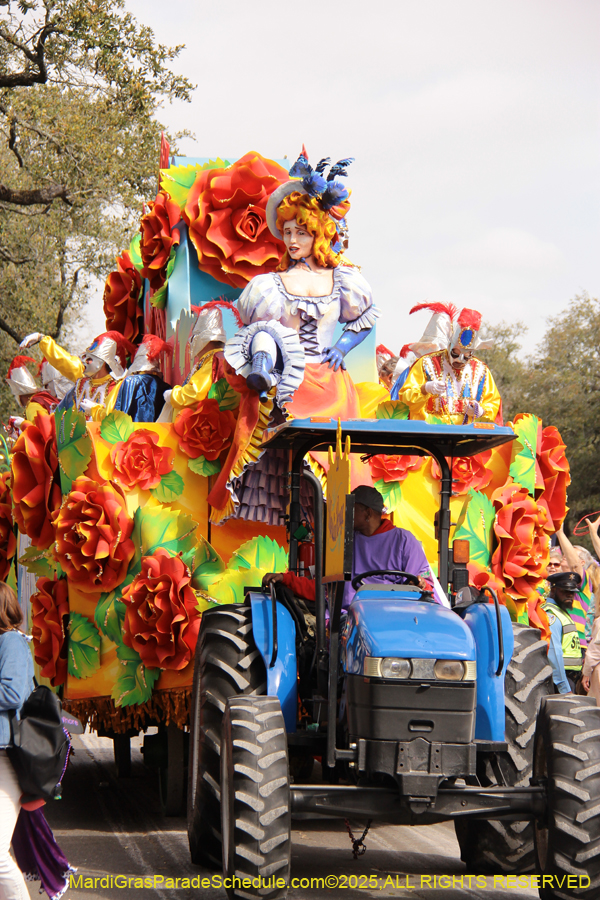 Rex-School-of-Design-2025-3389