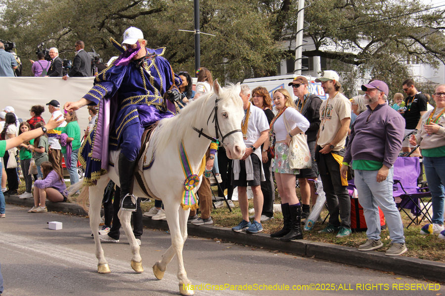 Rex-School-of-Design-2025-3394