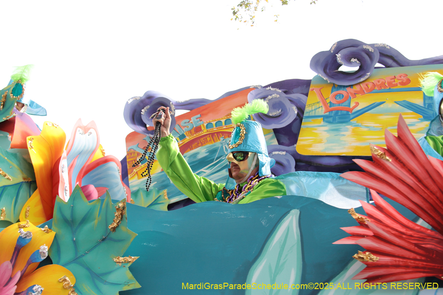 Rex-School-of-Design-2025-3401