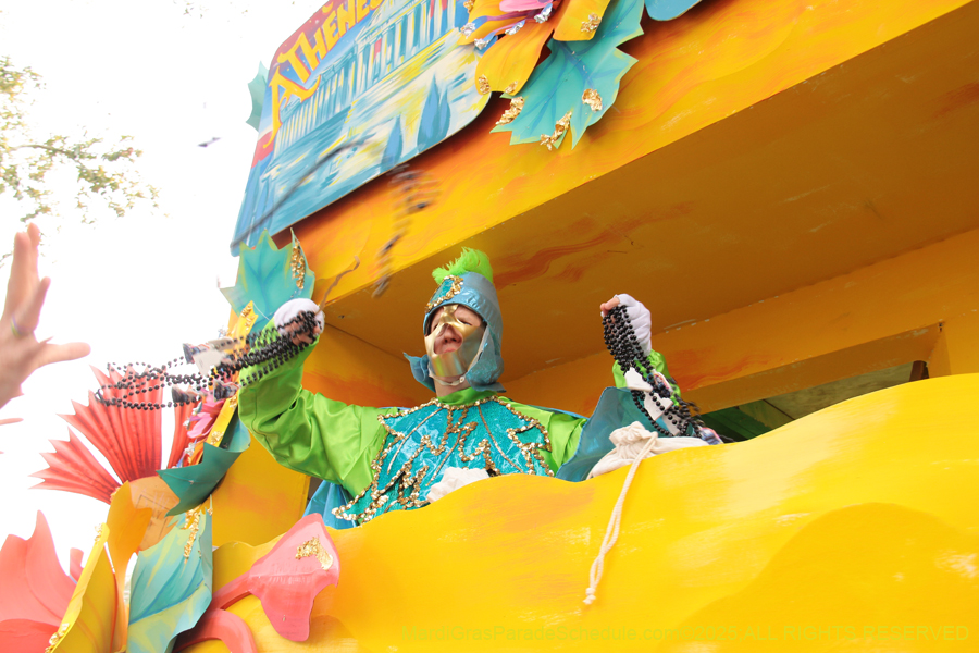 Rex-School-of-Design-2025-3403