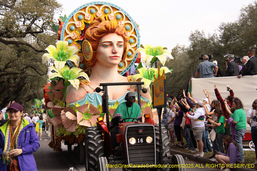 Rex-School-of-Design-2025-3404