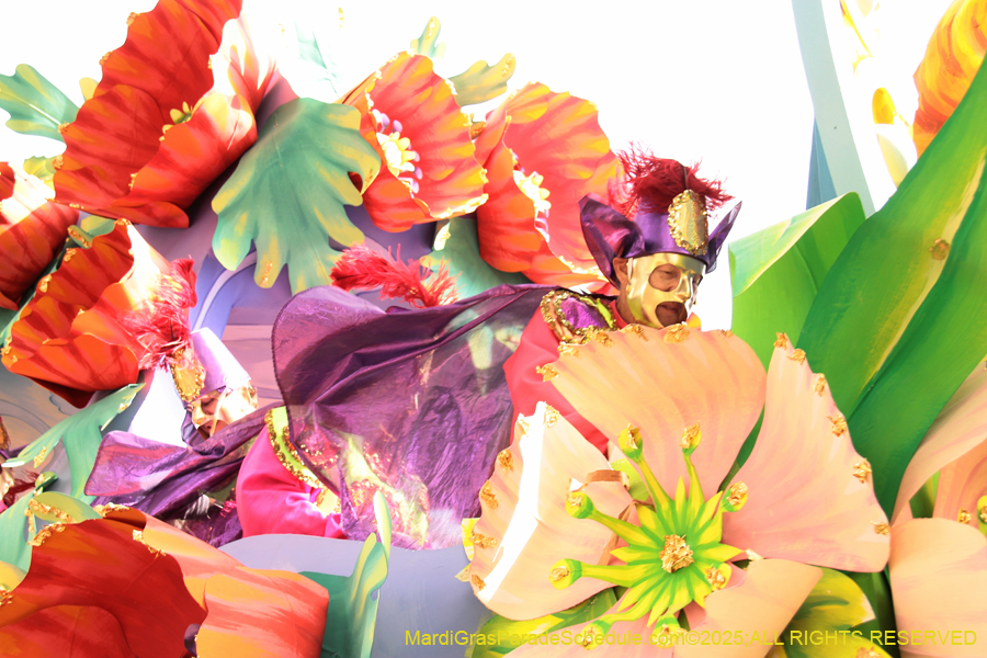 Rex-School-of-Design-2025-3406