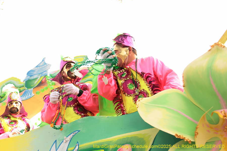 Rex-School-of-Design-2025-3414