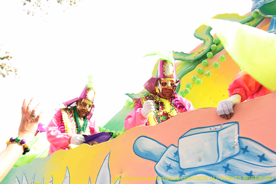 Rex-School-of-Design-2025-3415