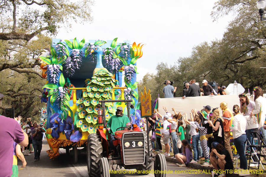 Rex-School-of-Design-2025-3421