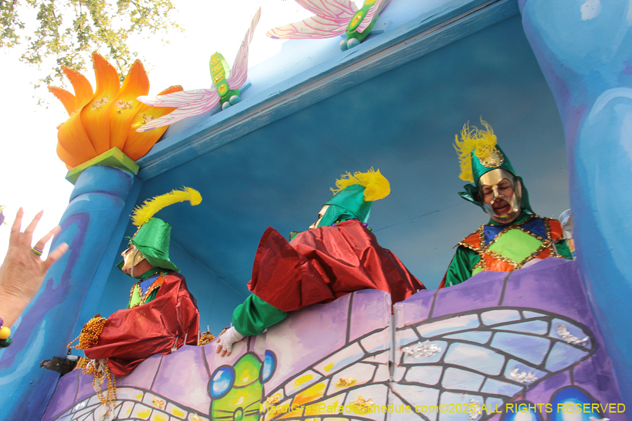 Rex-School-of-Design-2025-3424