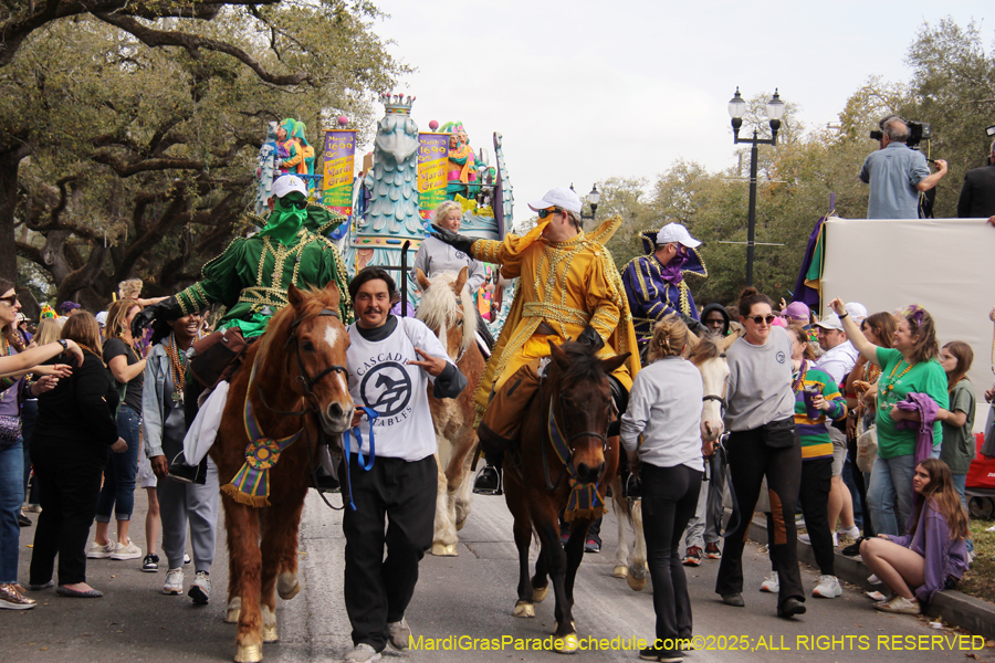 Rex-School-of-Design-2025-3431