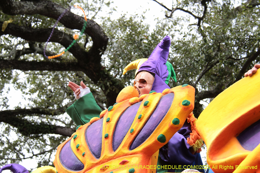 Rex-King-of-Carnival-2026-11833