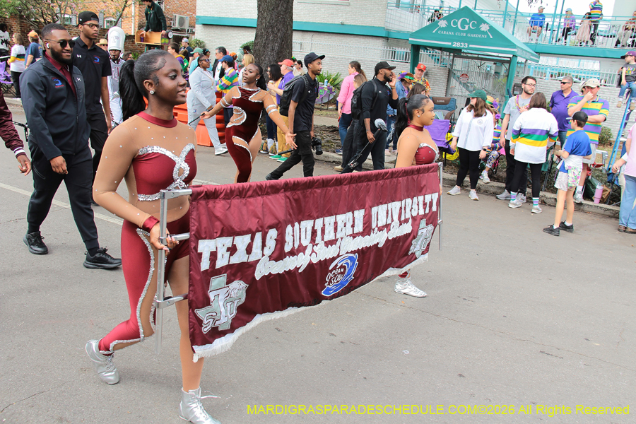 Rex-King-of-Carnival-2026-11836