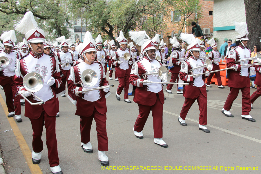 Rex-King-of-Carnival-2026-11837