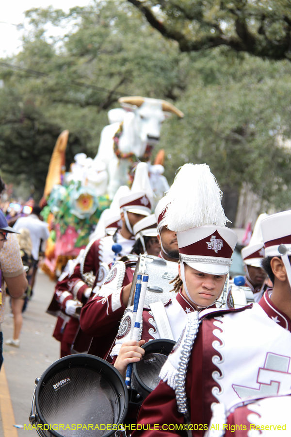 Rex-King-of-Carnival-2026-11840