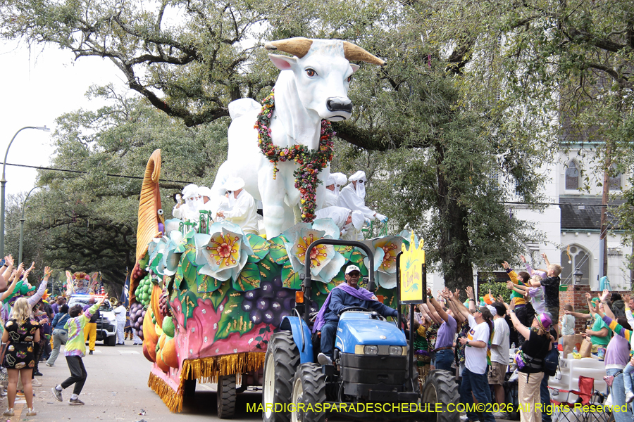 Rex-King-of-Carnival-2026-11841